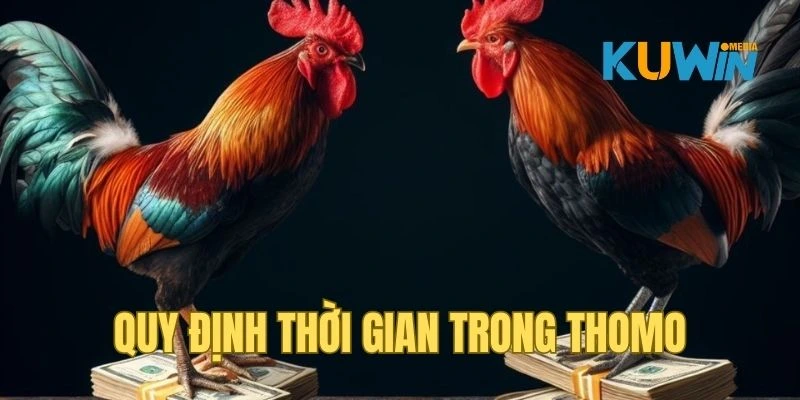 Quy định về thời gian thi đấu trong đá gà Thomo Kuwin