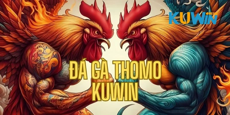 Đá gà Thomo