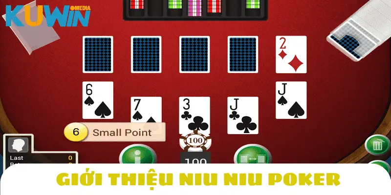 Khám phá siêu phẩm thú vị Niu Niu Kuwin